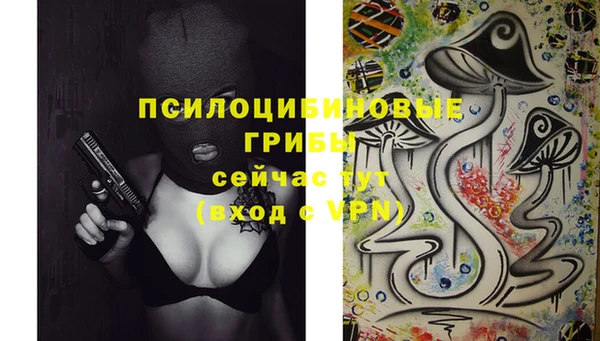PSILOCYBIN Слюдянка