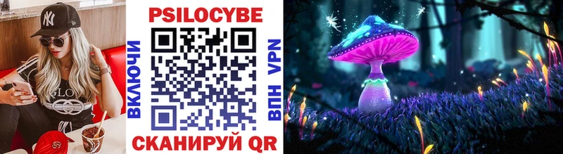 Купить где  Саянск  Псилоцибиновые грибы MAGIC MUSHROOMS 